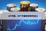 nft中国，NFT中国官网如何进入